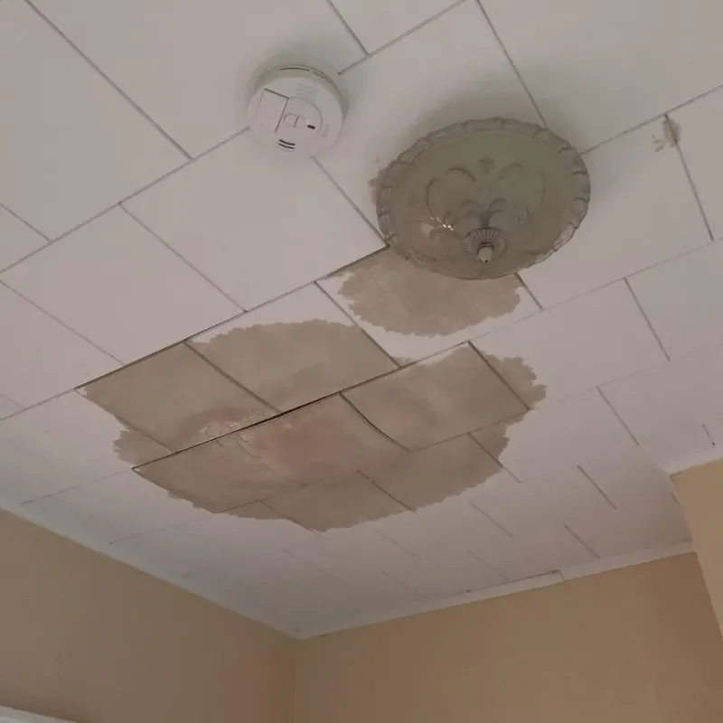 Ceiling Water Damage Repair in Matamoras, PA