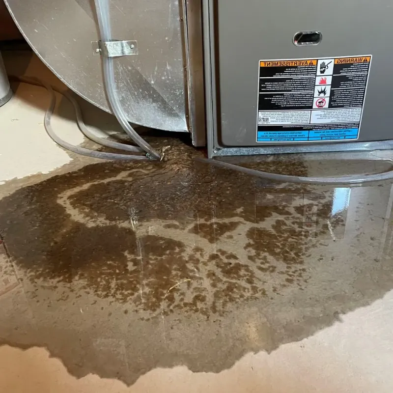 Pipe Burst and Leak Restoration in Matamoras, PA
